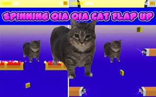 Image Spinning Oia Oia Cat Flap Up